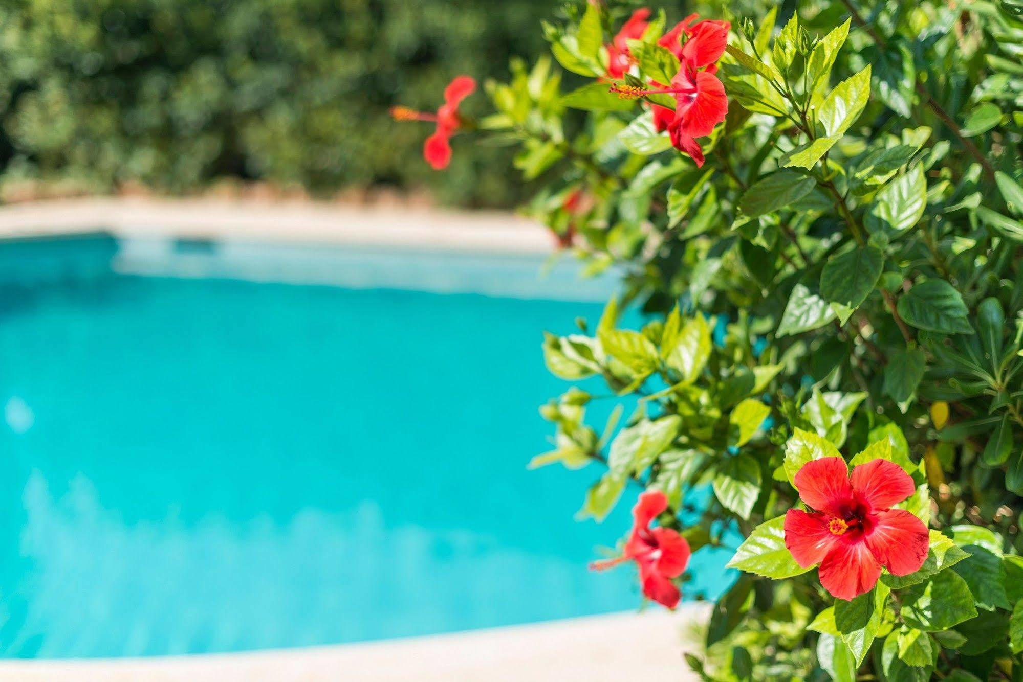 Hostal Casa Bauza Cala Ratjada  Eksteriør billede